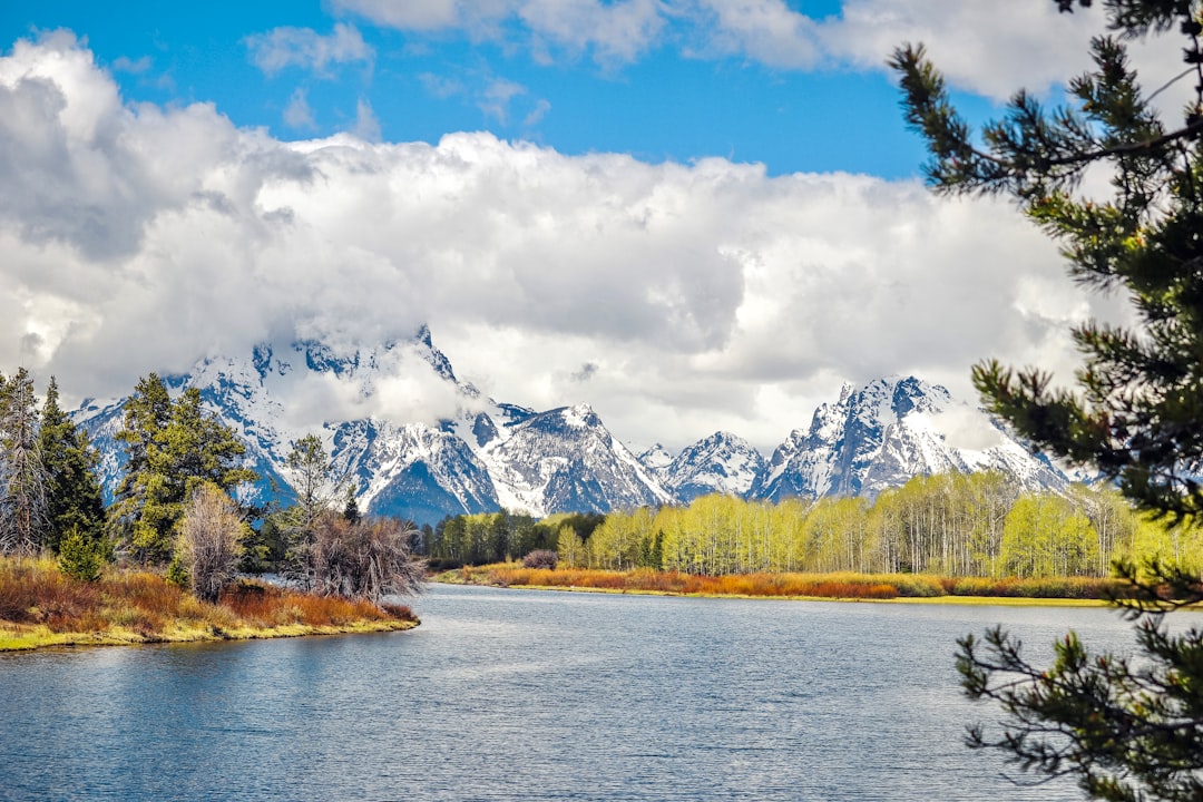 green trees near lake under white clouds and blue sky during daytime